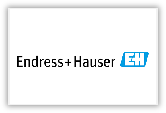 Deutscher Ideenmanagement Preis Endress + Hauser