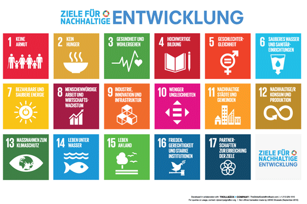 SDG 17 Ziele 